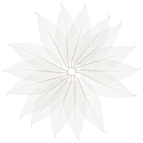 Hojas esqueletizadas secas para manualidades 100 pcs