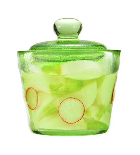 トンボ 卓上漬物器 ガラス浅漬けポット 小