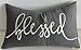 EURASIA DECOR DecorHouzz Pillowcase Farmhouse Embroidered Home Throw Pillow Cover Funny Quote Cushion Cover for Housewarming Guest Porch Wedding Anniversary Couple (12"X20", Blessed(Grey))