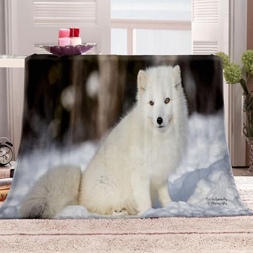 DECORAZIONE: un copridivano in flanella è perfetto per i proprietari di casa con gusti decorativi sofisticati. Il design unico conferisce a questa coperta un aspetto elegante e di alta qualità, donando un'atmosfera calda alla tua stanza.