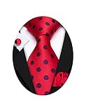 Barry.Wang Red Polka Dot Woven Ties Silk Necktie Set Wedding Party