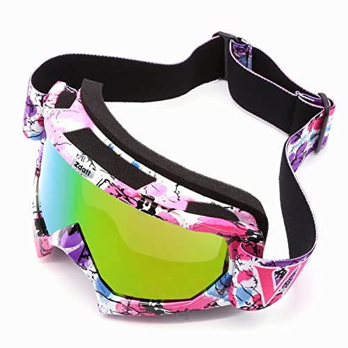 Motocross Goggles, Atv Goggles Adult Dirt Bike Mx Goggle Glasses And Anti Fog Ski Goggles #TOP1