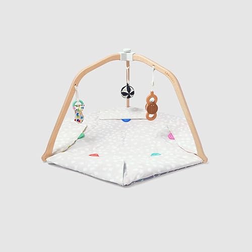 Miniatura 24 de LOVEVERY El gimnasio de juego | Ganador de premios para bebés, gimnasio de actividades de desarrollo basado en escenarios y tapete de juego para