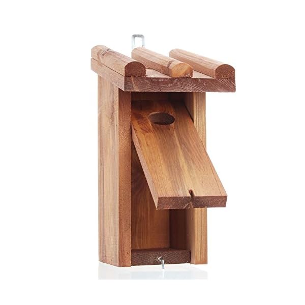 Nistkasten – Bild 6