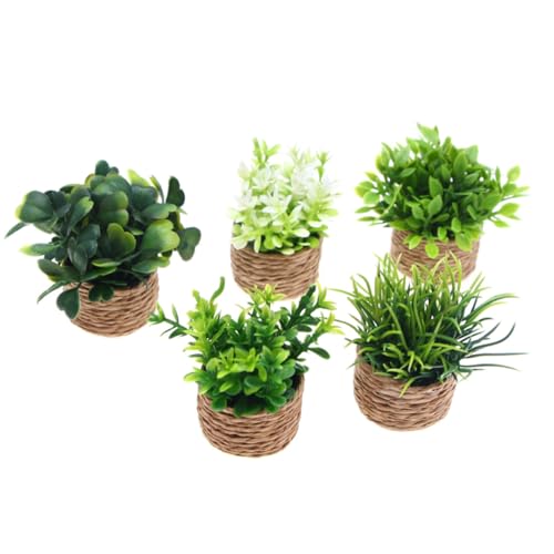 CIMAXIC �~�j�`���A�~�͖͌^ 5�� �h�[���n�E�X�p�l�H�Ή����� �����e�i���X�s�v�ȃt�F�C�N�O���[�� ���^�z�[���I�[�i�����g �C���e���A�f�X