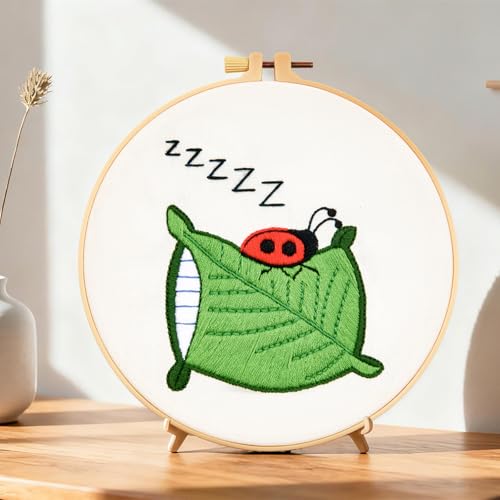 Image of Embroidery Kits for Beginners Adults, Cute Hand Embroidery Starter Kit, Cross Stitch Kits for Beginners DIY Craft Kits for Adults Women, Entire Set of Embroidery Supplies【Full-Length Video Tutorial】