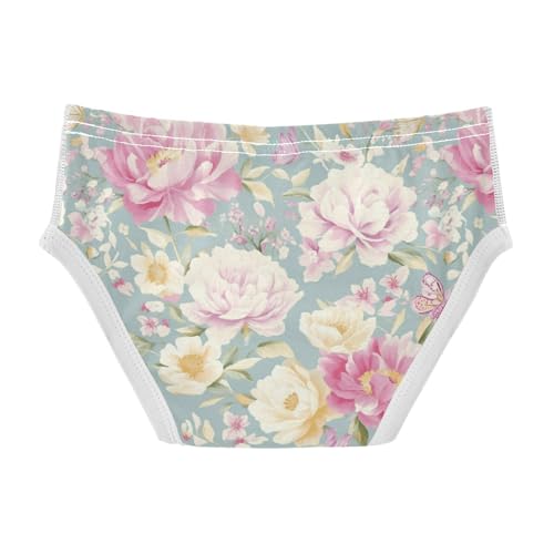 Wusikd Peonies Roses Boys' Underwear Cotton Butterflies Boys Briefs Soft Toddler Underwear 2T2