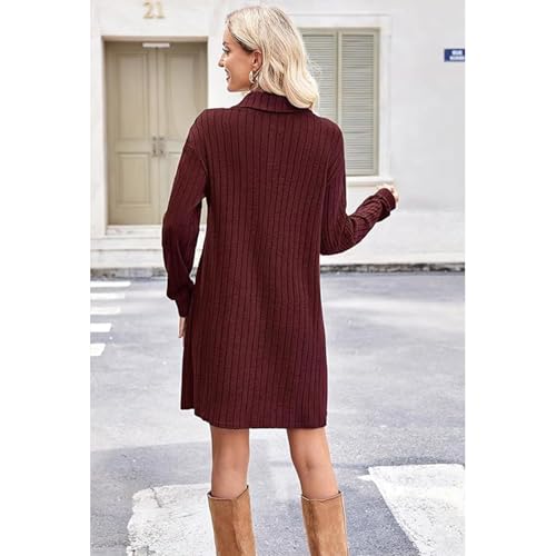 Robe pull col V femme coton doux tricot hiver fermeture éclair chic - 6