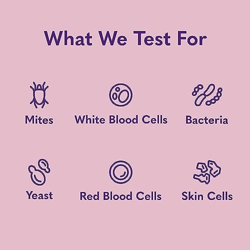 MySimplePetLab Dogs Ear Infection Test Kit | Fast and Accurate Detection of Yeast and other Ear Irritations| Reliable Mail-in Dog Ear Care Test for Smelly, Itchy, or Sore Ears MySimplePetLab Dogs Ear Infection Test Kit | Fast and Accurate Detection of Yeast and other Ear Irritations| Reliable Mail-in Dog Ear Care Test for Smelly, Itchy, or Sore Ears