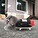 Dog and Cat Rear-Leg Mobility Aid, Adjustable Wheelchair with Silent Wheels, Breathable Mesh, Lightweight and Comfortable, Available in S/M/L