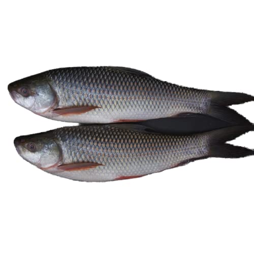Fresh Rohu Fish Whole Cleaned 1 kg Approx.