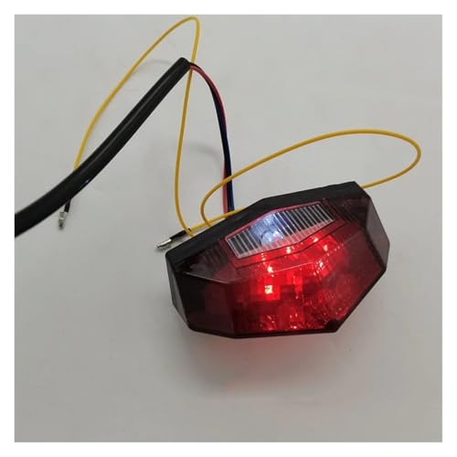 Conjunto de luz trasera de motocicleta LED con óptica ahumada 3