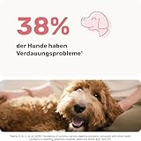 mammaly Probiotika-Drops für Hunde 110g - Verdauungssnacks für Magen Darmflora Aufbau (bei Durchfall, Sodbrennen & Gras fressen) Alternative-Leckerlie zu Heilerde, Kohletabletten als leckere Snacks