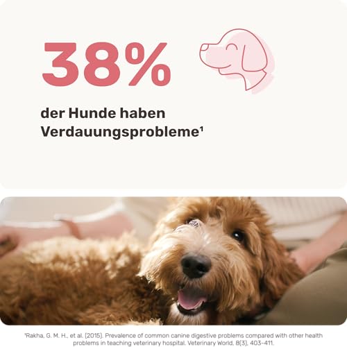 mammaly Probiotika-Drops für Hunde 110g - Verdauungssnacks für Magen Darmflora Aufbau (bei Durchfall, Sodbrennen & Gras fressen) Alternative-Leckerlie zu Heilerde, Kohletabletten als leckere Snacks