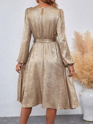 Women 2025 Summer midi Dress Round Neck Waisted Tie-Up Long Sleeve Shine Dress2