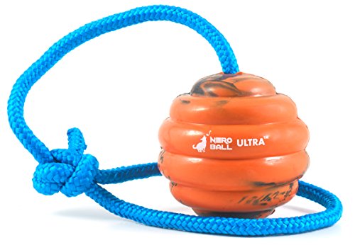 Nero Ball Ultra Tm - Dog Training Ball On A Rope - Exercise And Reward Toy For Dogs #TOP2