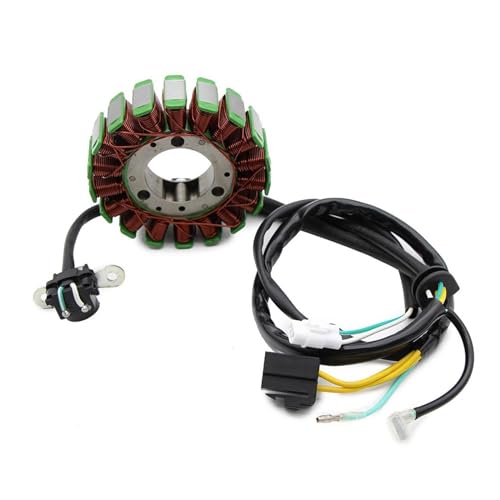 Stator Magnétique Kawasaki KLX300R Alternateur Allumage Moteur 21003-1254