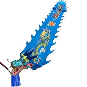 Lint Fitness Drakendans Lint, voor Ouder-kind Spel Beginners Senioren Volwassenen, Artistieke Dansende…