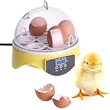 【Ventilateur interne】 Construit dans un ventilateur interne, les incubateurs pour les œufs d'éclosion peuvent rapidement chauffer et refroidir. Il s'agit même de la dissipation de chaleur, de faible bruit et de faible consommation d'énergie.