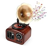 Caja de música, padres