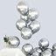 Metallic Silver Balloon