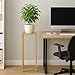 Koyal Wholesale 1Pcs 29 Inch Tall Modern Matte Gold Pedestal Stand, Metal Plant Stand Indoor Flower Pedestal Stands for Wedding Gold Harlow Stand Home Decor