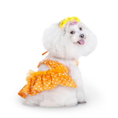 Image of CuteBone One Piece Dog Bikini Swimsuit Dress - Puppy Bathing Suit Costume for Small Dogs - Comfortable & Stylish Pet Clothes for Summer Pool, Beach & Play LTDB03S