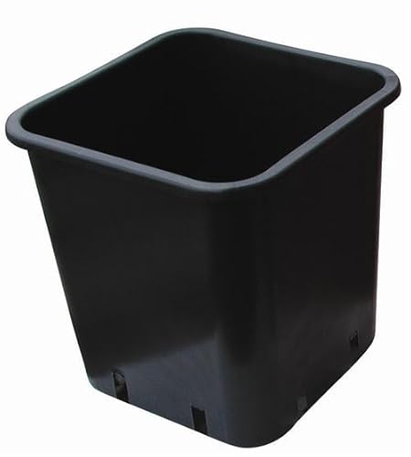 Pot carré noir 12x12x13 1,5l - Nuova pasquini e bini spa Cover