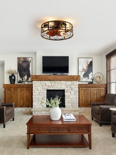 Image of 18 Inch Caged Ceiling Fan with Lights, Farmhouse Rustic Bladeless