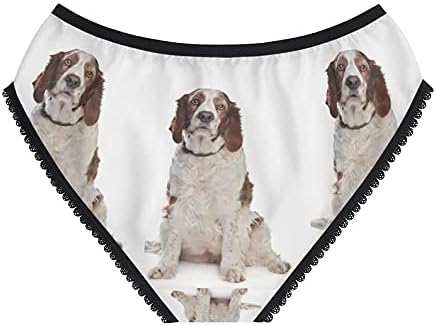 DogsMakeMeHappy Welsh Springer Spaniel Panties, Welsh Springer Spaniel Underwear, Briefs, Cotton Briefs