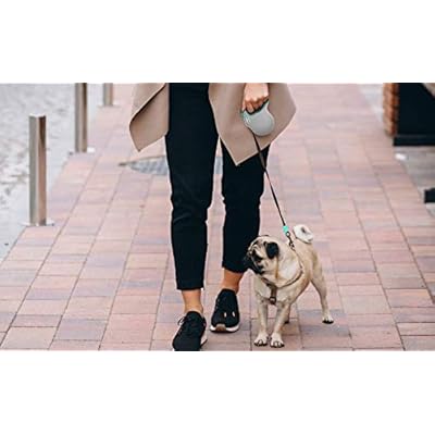 avalanche retractable dog leash