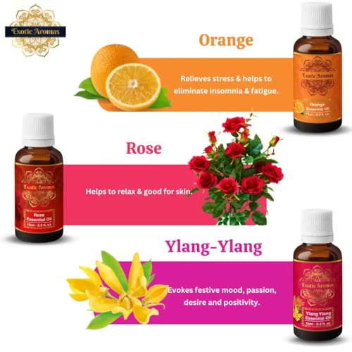 Exotic Aromas Essential Oil Lavender Rose Rosemary Orange Jasmine YlangYlang Tea Tree Eucalyptus Lemongrass Peppermint Lemon Citronella Pack of 12 - Image 4