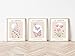 Le Jardin Posters for Room Aesthetic - Unframed Set of 3 (12x16 inch) Danish Pastel Room Decor, Butterfly Wall Art, Boho Wall Decor, Room Decor Aesthetic, Flower Market Posters, Purple Butterfly Pink Poppy Artsy Poster Prints for Living Room Bedroom by zagly wall decor (12x16 inches, Unframed)