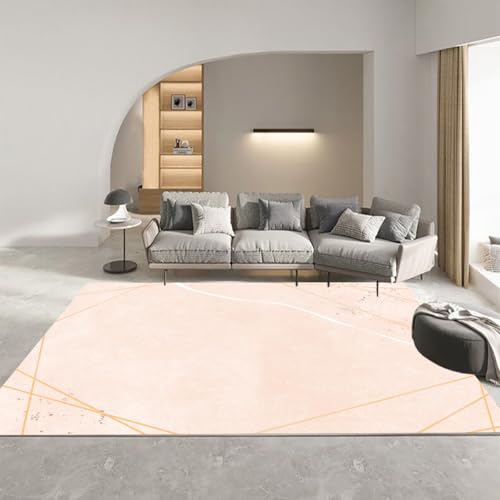 �uFrisence�v�􂦂� ���O �J�[�y�b�g �}�C�N���t�@�C�o�[ �ӂ��� ����~�� �h�� �h�� ���g�[&�z�b�g�J�[�y�b�g�Ή��Ή� �V���v�� ���r���O �Q�� �q������ 120×160cm FRISY35-D63