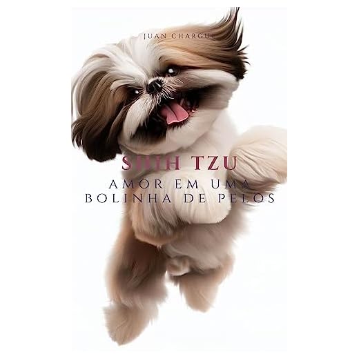Shih Tzu: Amor em uma bolinha de pelos