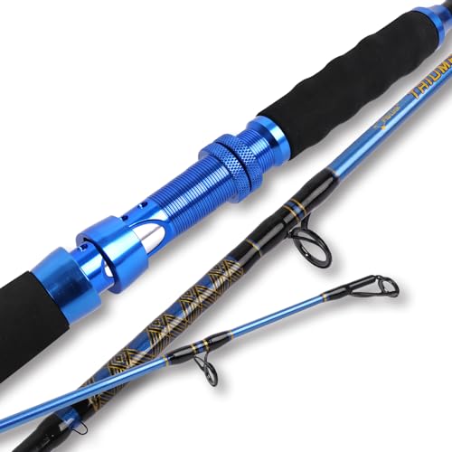 Fiblink Saltwater Graphite Jig Jigging Spinning Fishing Rod 2 Piece Deep Sea Jig Pole 5'6' (5'6',Heavy,80-120lbs)