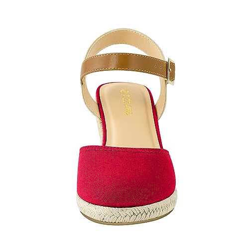 Image of PIZZ ANNU Women's Espadrille Low Wedge Heel Sandals with Buckle Ankle Strap Close Toe Casual Dressy Summer Platform Shoes