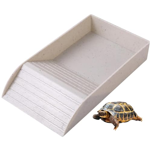 ঒ނ̉aM ঒  X[vƃoXLOvbgtH[t NK  NK Zbg T T P[X ঒ ~ߗ NKZbg ybgpi (ԛ̐F,36x20x6cm)