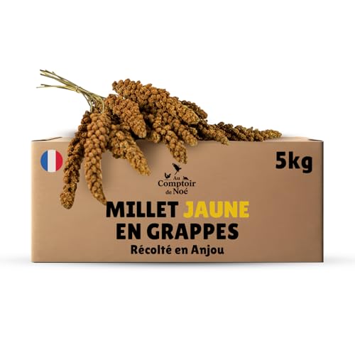 Millet en grappes Jaune 5 kg, Alimentation pour Oiseaux, Récolté en France en Anjou, 100% Naturel, Millet Français pour Développer la Vitalité, Graines...