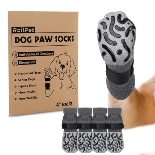How long can dogs wear socks