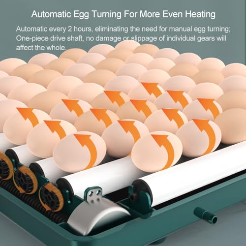 Incubadoras automáticas de ovos, incubadoras de ovos com virador de ovos/reabastecimento automático