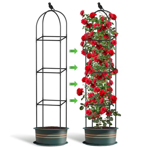 Image of Garden Obelisks for Climbing Plants, 175cm 6ft Obelisks Garden Trellis for Climbing Plants, Waterproof Metal Square Rose Supports Sweet Pea Frame With Large Space, 1 Pack Climbing Plant Support