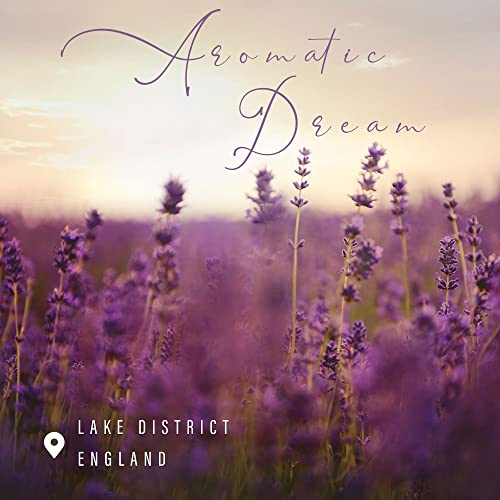 Trinida Candles Clearance For Home Scented, Lavender Candles For Promote Sleep & Stress Relief, Perfect Bedtime Ritual Gifts For Women & Men #TOP6