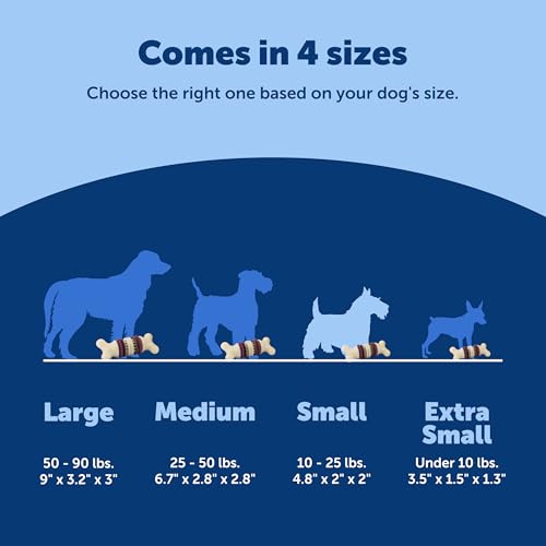 PetSafe Busy Buddy Bristle Bone Dog Treat Holding Chew Toy, Small | Toothbrush-In-A-Toy Design Helps Clean Teeth While Dog Chews, Holds Treat Rings, Durable, Interactive Play, for Dogs 10-25 Lb - image 5