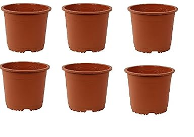 SPHINX Small Nursery Pots Planters - (Height/Depth - 10 cms/4 Inches) - Set of 6 pieces
