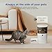 Automatic Cat Feeder, 4L Cat Food Dispenser with 10s Voice Recorder, Pet Feeder up to 8 Meals per Day, Timed Dog Feeder with Dry Food Sealed Ring (White, 4L-Basic)