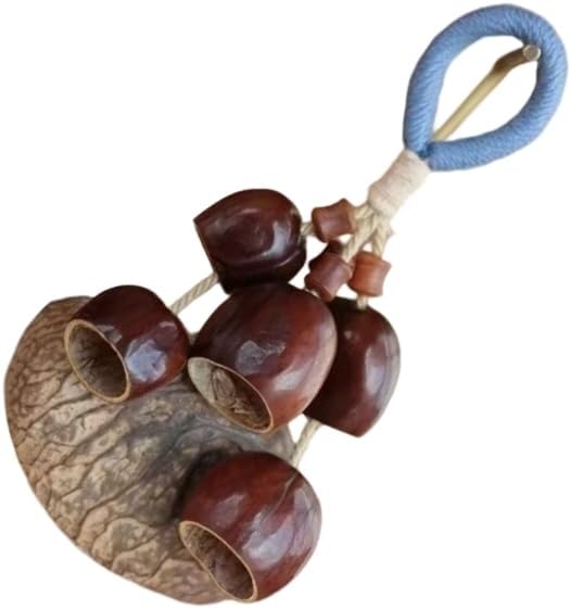Sustainable Handmade Seedpod Keychain Decorative Wind Chime Accessory Gift