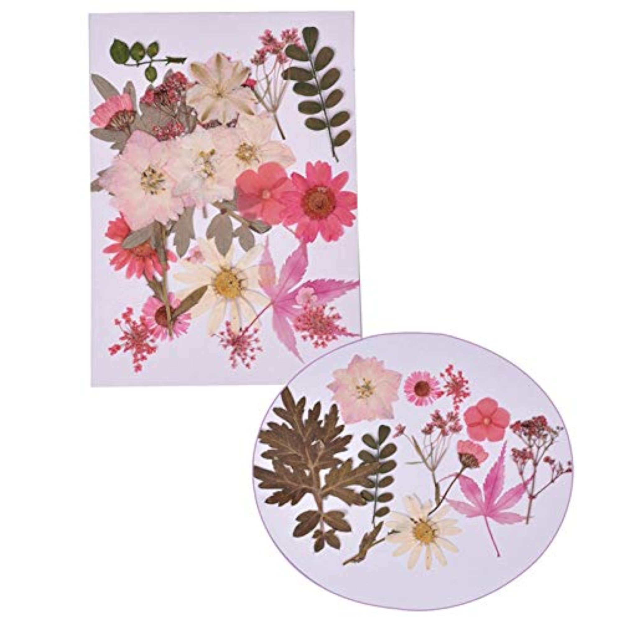 Dried Pressed Flowers Assorted Resin Craft Bookmark