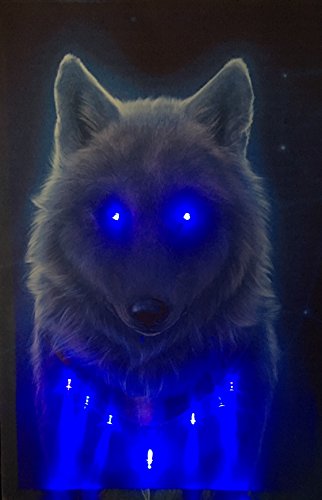 Samarkand - Lights LED-Bild mit Beleuchtung LED- Bilder Leinwandbild 65 x 45 cm Leuchtbild Wandbild WOLF