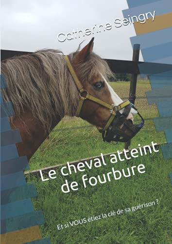 Le cheval atteint de fourbure: Et si VOUS étiez la